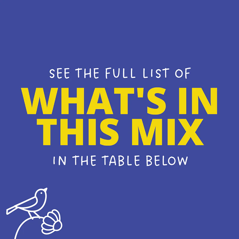 White Wildflower Seed Mix - Image 5